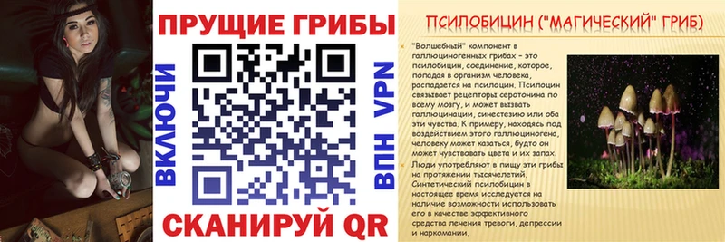 ОМГ ОМГ   Шумиха  Галлюциногенные грибы Cubensis  наркотики 